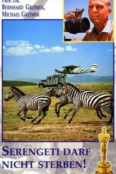 Serengeti nie może umrzeć