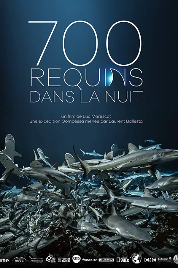 700 Sharks Plakat