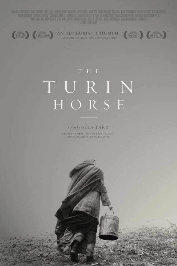 Koń turyński Plakat