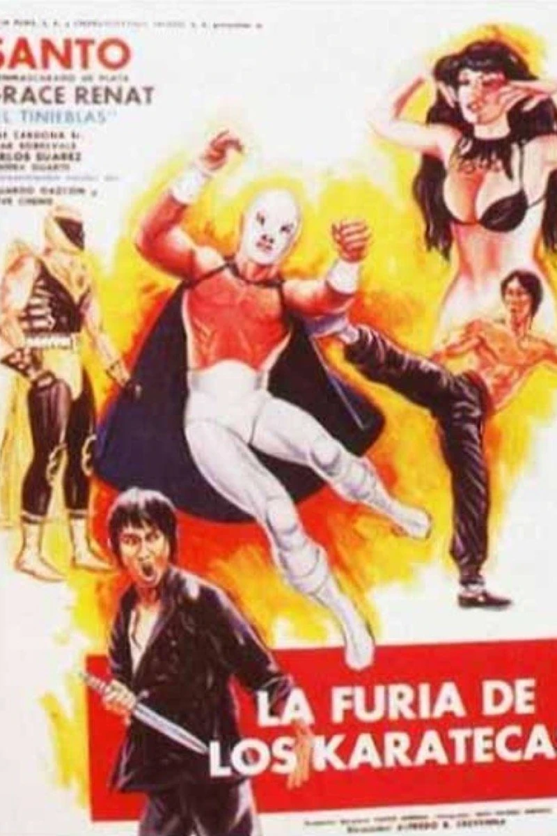La furia de los karatecas Plakat